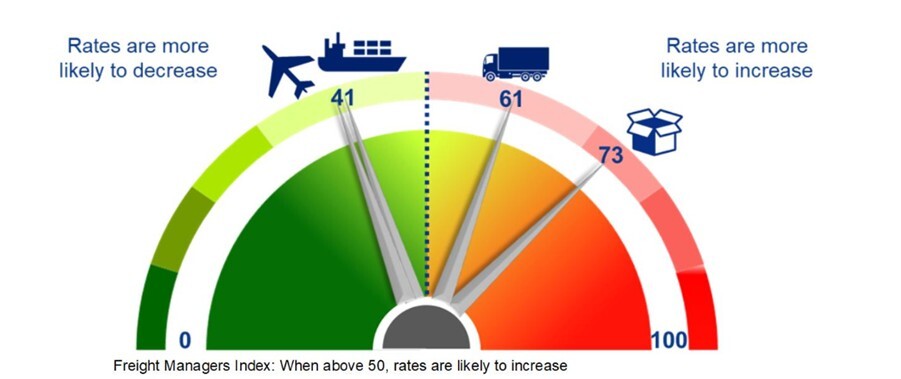 Transport Monitor 13th